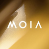 Golang job Backend (Rust/Golang) Engineer (m/f/d) - Street Routing Team at MOIA