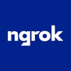 Golang job Principal Software Engineer at ngrok